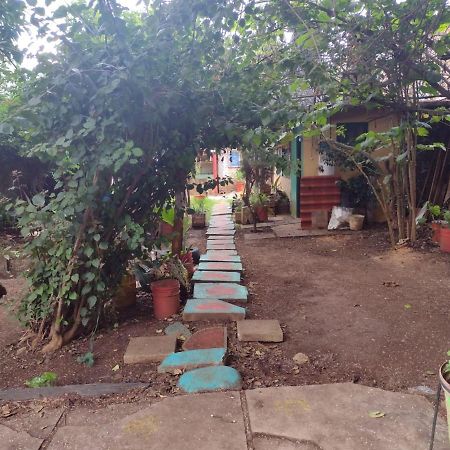 Casa Lothuz Spacio Cultural Y Disidente San Cristóbal de Las Casas المظهر الخارجي الصورة