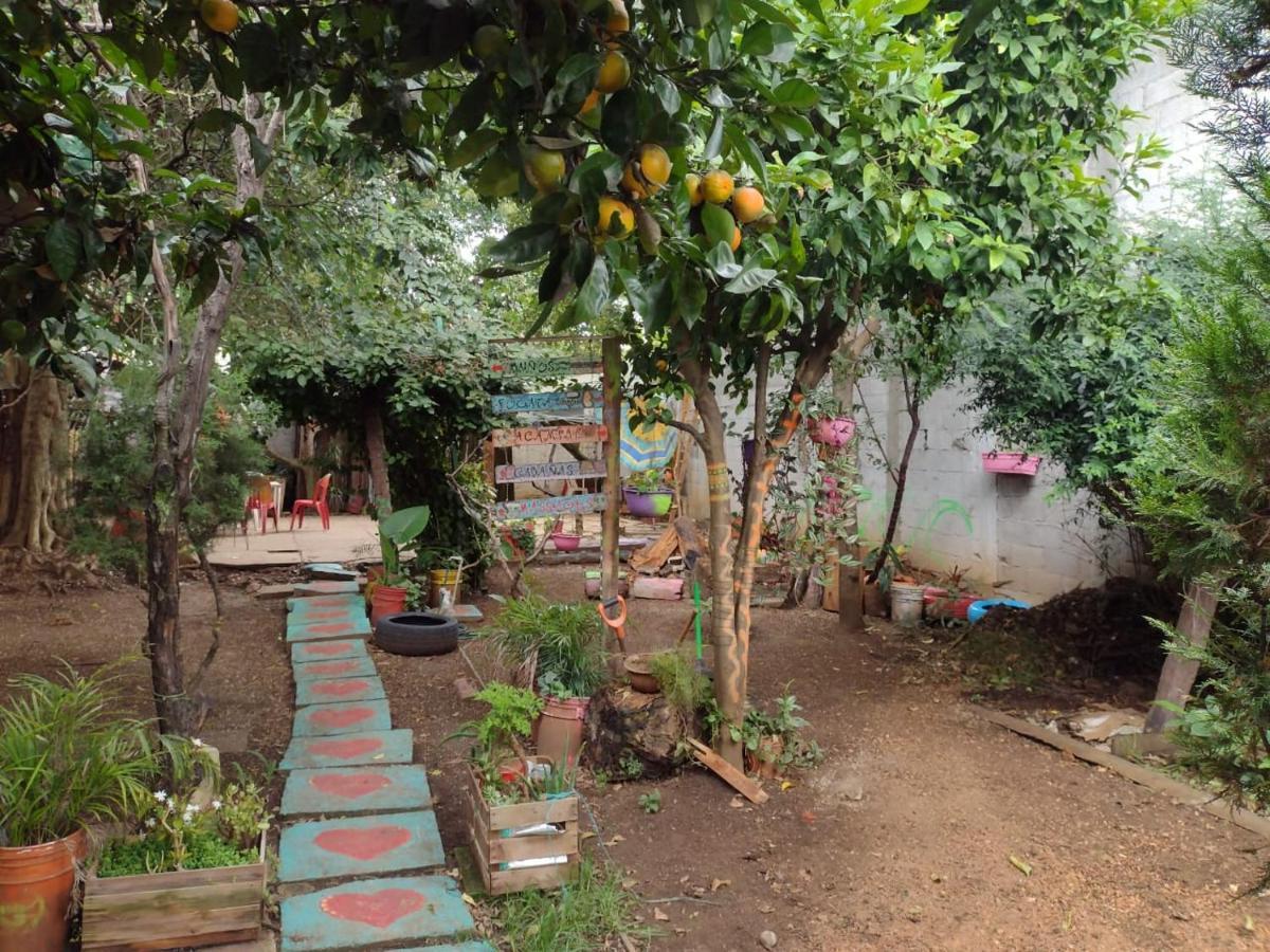 Casa Lothuz Spacio Cultural Y Disidente San Cristóbal de Las Casas المظهر الخارجي الصورة